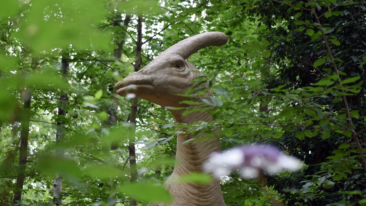 Un chercheur tente de reproduire le cri d’un dinosaure